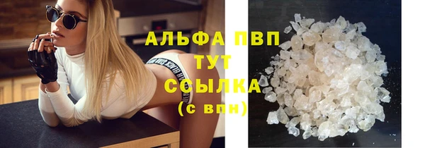 PSILOCYBIN Новокубанск