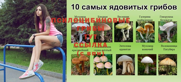 прущая мука Новодвинск