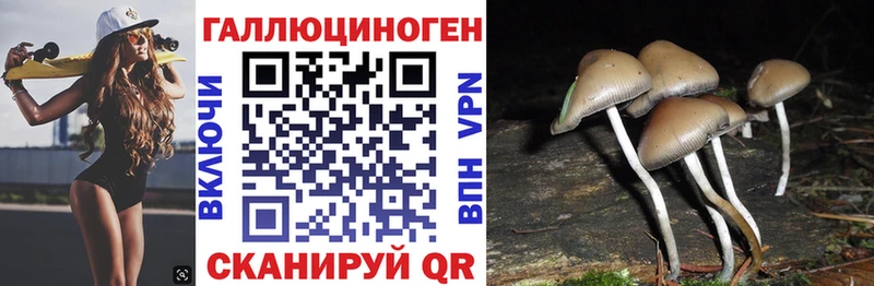 Галлюциногенные грибы ЛСД  Ряжск 